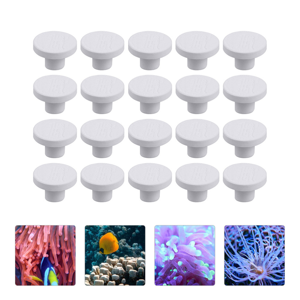 SPS Ceramic Coral Frag Plugs B - Marine Coral 评论和价格