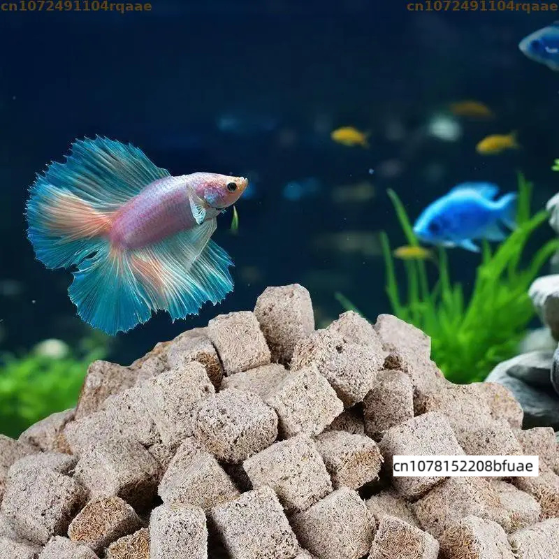 Aquarium Fish Feeder Matching  - Marine Aquarium Cube 评论和价格